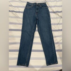 Everlane The Original Cheeky Jean